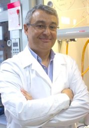 Pedro J. Pérez