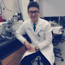 Shichang Zhao