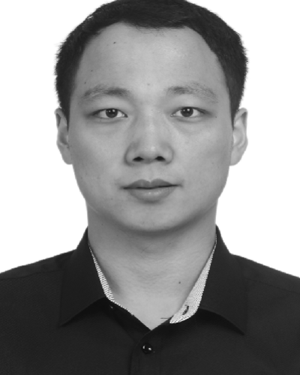 L. Wang