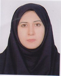 Salehi N