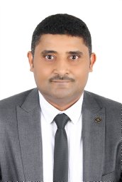 Waleed M. Hamanah