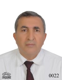 F. Talay Akyildiz