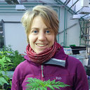 Suzanne Lommen