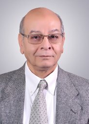 M. R. M. Rizk