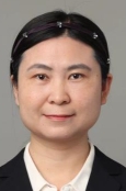Honglei Li