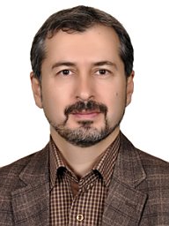 Hamid Toopchi-Nezhad