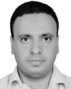 Ali A. Amer