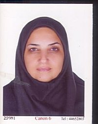 Bidhendi S Moradi