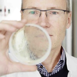 Ditlev Brodersen
