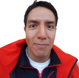 Sergio A. Araujo-Estrada