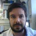 Andre M. Grilo