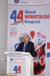 Murat Albayrak