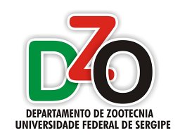 Juciléia Aparecida Da Silva Morais