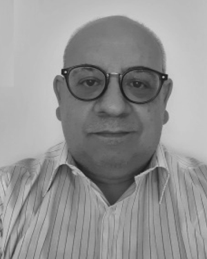 Michele Menniti