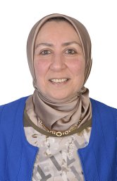 Sherine N. Khattab
