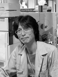 Yoshihisa Hagihara