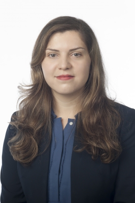 Azadeh Ansari