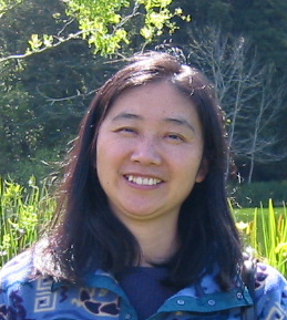 Hong Liu