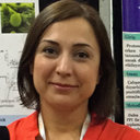 Secil Kepil Ozdemir