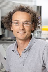 Wolfgang Friesl-Hanl