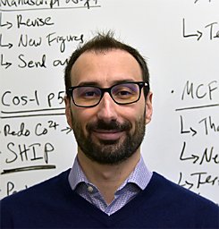 Fornelli Luca