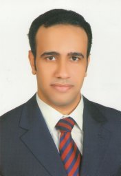 Tarek A. Ameen