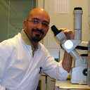 Domenico Mancuso