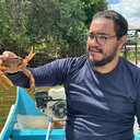 Felipe Araujo