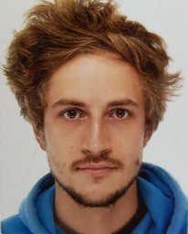 N. Michel