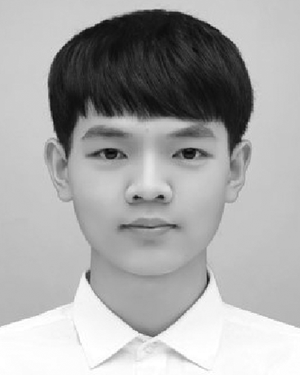 L. Chen