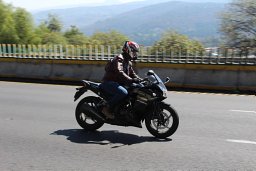 Rafael Peñaloza Gómez
