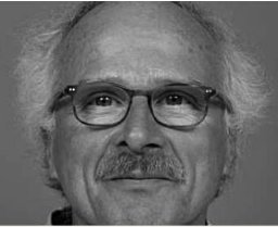 Henk W. van der Veer