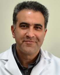 Mostafa Araj-Khodaei