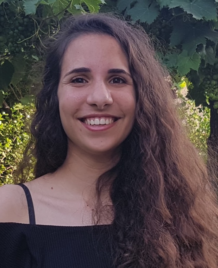 Adi Simhi