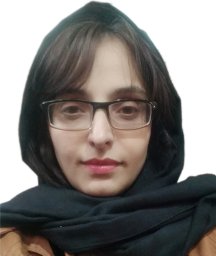 Homa Hosseinzadeh-Bandbafha