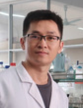 Ping Li