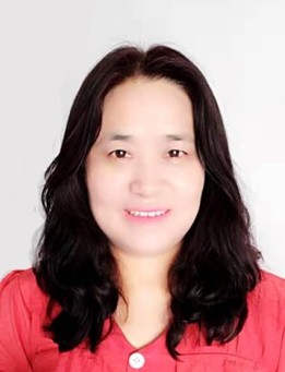 Aiying Li
