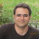 Seyed Amir Farzaneh