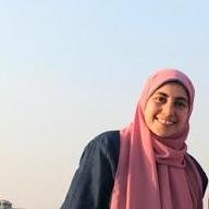 Sara T. Ibrahim