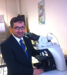 Mohammed A. Aleskandarany