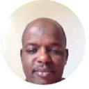 Mamadou S T Diallo