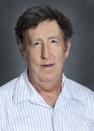 Charles A. Goldman
