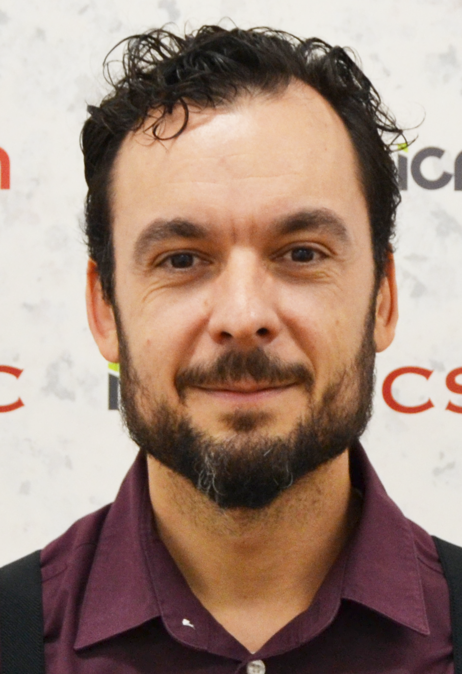 Andrés Castellanos Gómez