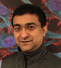 Shiladitya Sengupta