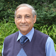 Farghalli A. Mohamed