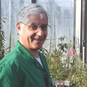 Farivar Eskandari