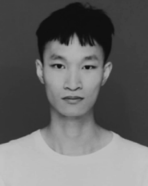 Binhong Li