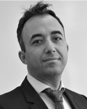 ali mehran