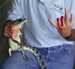 Robert Packett