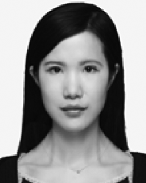 Bingbing Wang